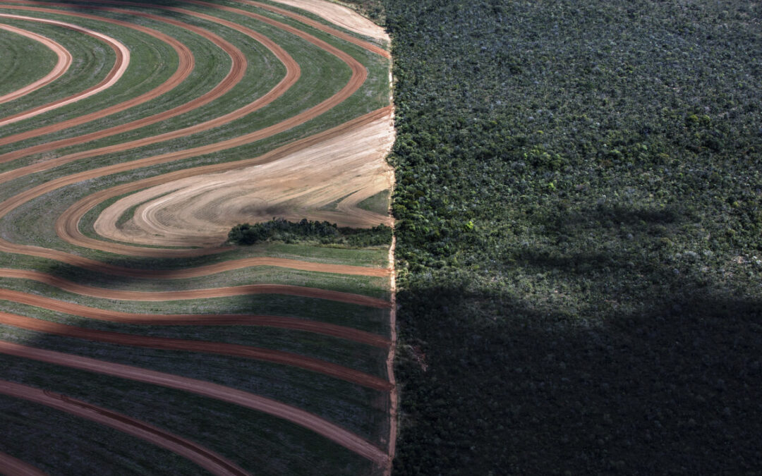 Tocantins: Wanderlei Barbosa, governador eleito, não assina carta-compromisso em defesa da agricultura familiar