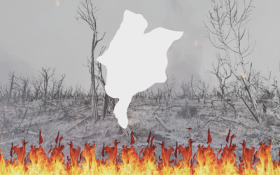 Maranhão registra mais de 10 mil focos de incêndio entre janeiro e setembro de 2023